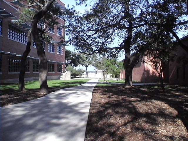 Photo of Trinity University