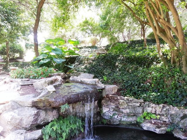 Photo of Trinity University