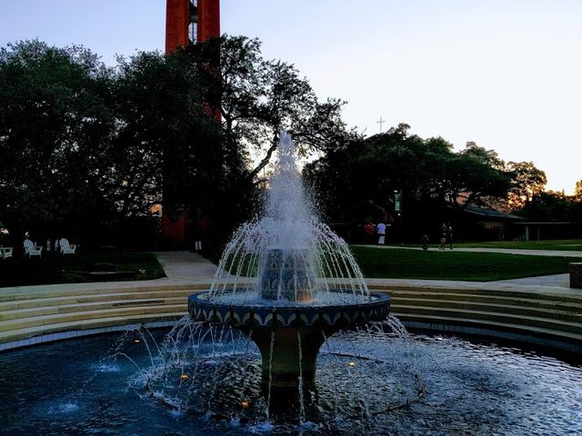Photo of Trinity University
