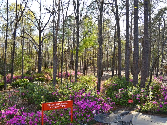 Photo of Troy University-Dothan Campus