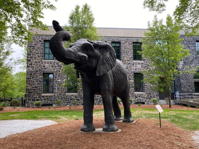 Photo of Tufts University