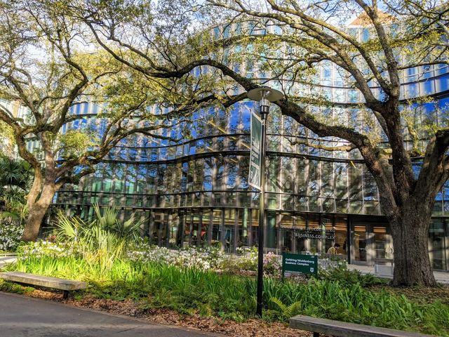 Photo of Tulane University of Louisiana