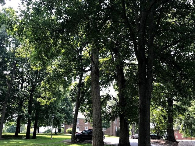 Photo of Tusculum University