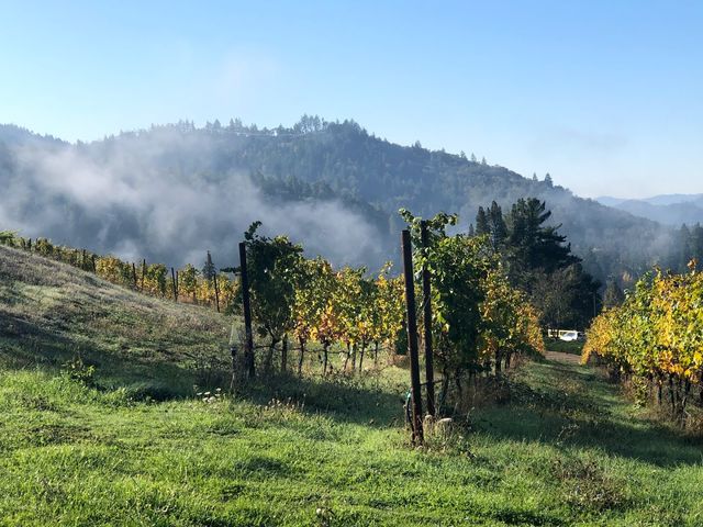 Photo of Umpqua Community College