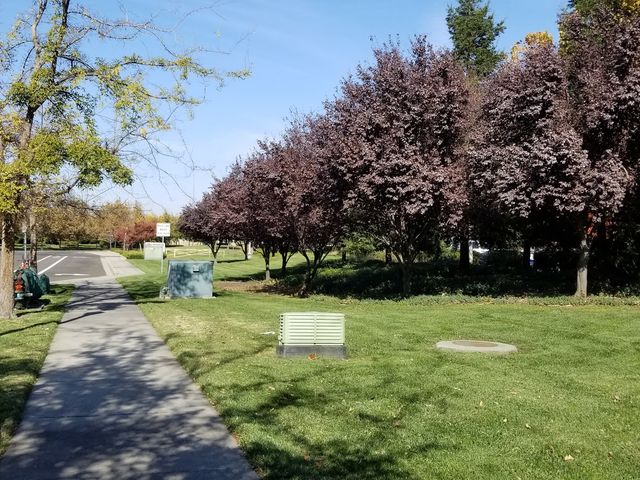 Photo of Universal Technical Institute of Northern California Inc