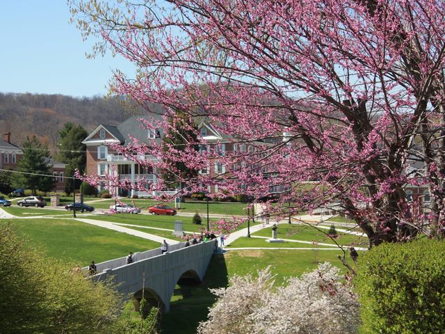 Photo of University of the Cumberlands