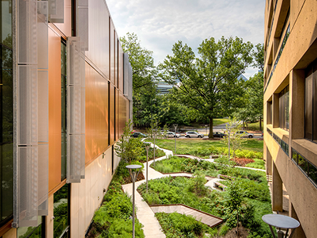 Photo of University of the District of Columbia