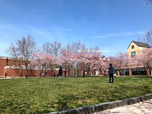 Photo of University of the Sciences