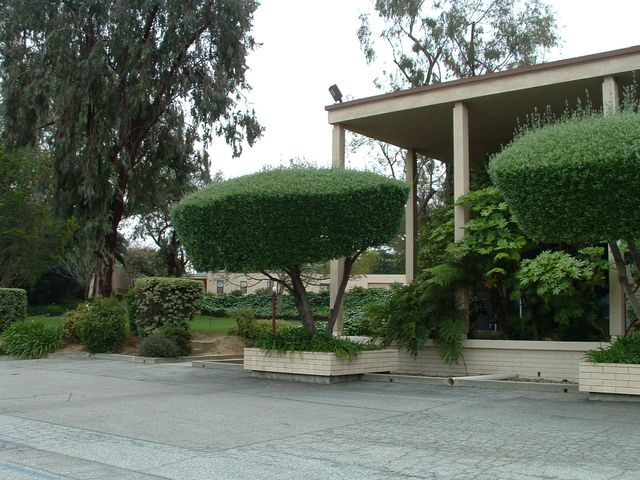 Photo of University of the West