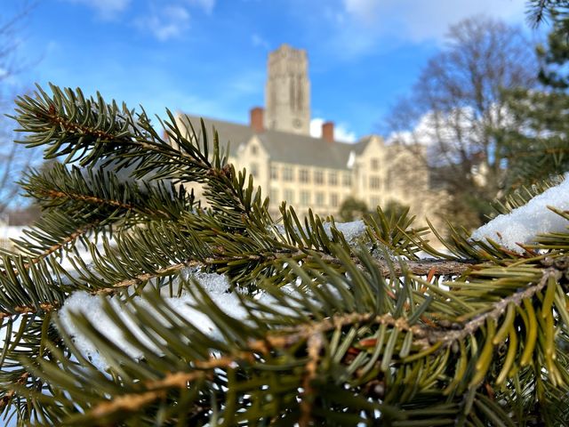 Photo of University of Toledo
