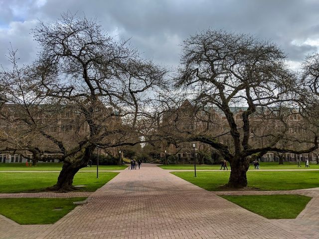 Photo of University of Washington-Seattle Campus