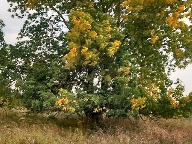 Photo of University of Wisconsin-Green Bay