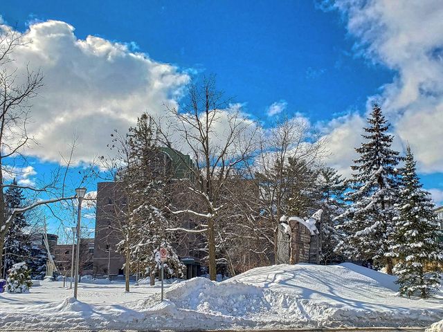 Photo of University of Wisconsin-Stevens Point