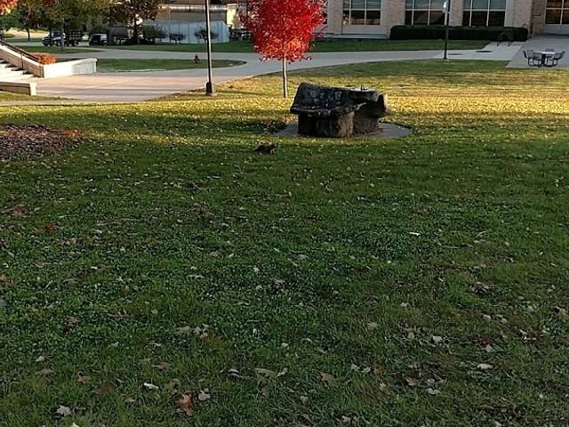 Photo of University of Wisconsin-Platteville