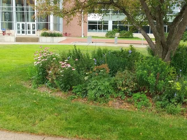 Photo of University of Wisconsin-River Falls