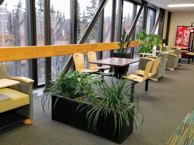 Photo of University of Alaska Anchorage