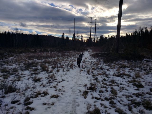 Photo of University of Alaska Anchorage