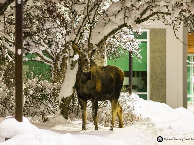 Photo of University of Alaska Anchorage