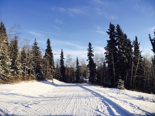 Photo of University of Alaska Fairbanks