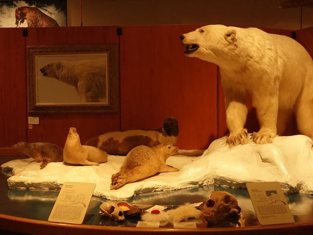 Photo of University of Alaska Fairbanks