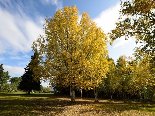 Photo of University of Alaska System of Higher Education
