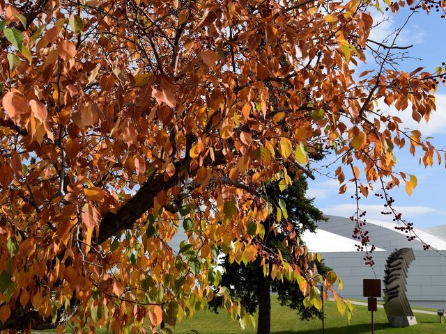 Photo of University of Alaska System of Higher Education