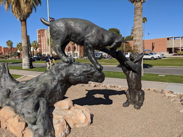 Photo of University of Arizona