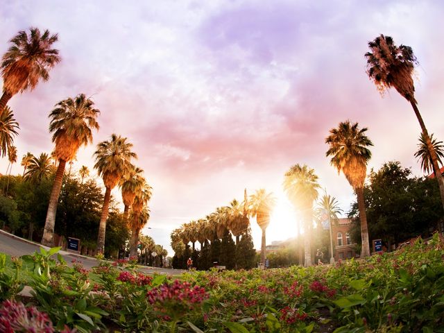 Photo of University of Arizona