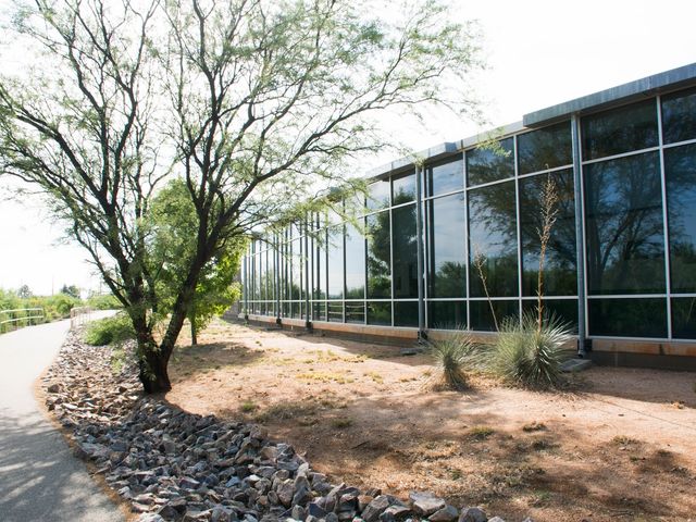 Photo of University of Arizona-South