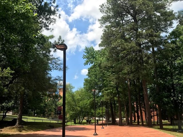 Photo of University of Arkansas at Little Rock