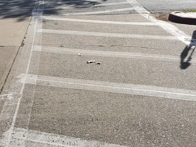 Photo of University of Arkansas at Little Rock