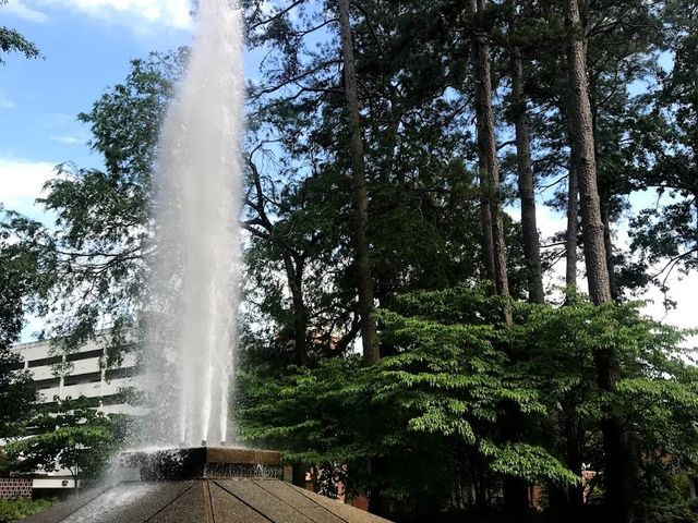 Photo of University of Arkansas at Little Rock