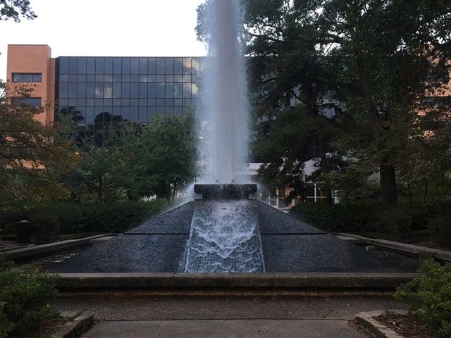 Photo of University of Arkansas at Little Rock