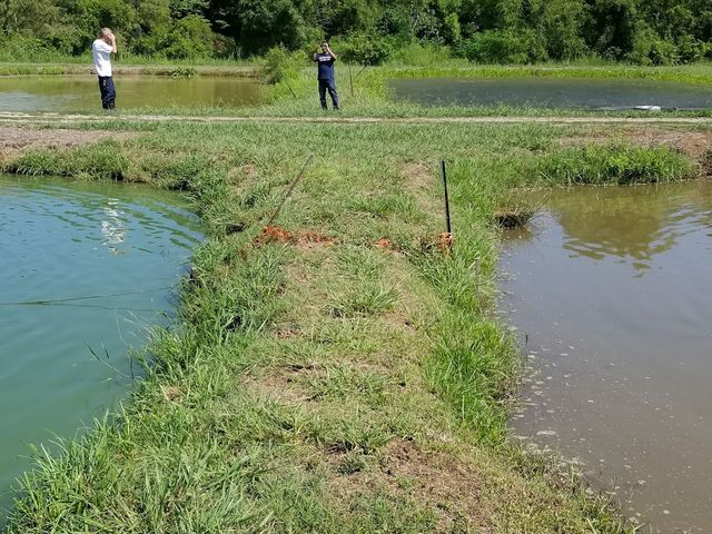 Photo of University of Arkansas at Pine Bluff