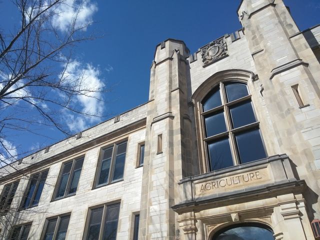 Photo of University of Arkansas