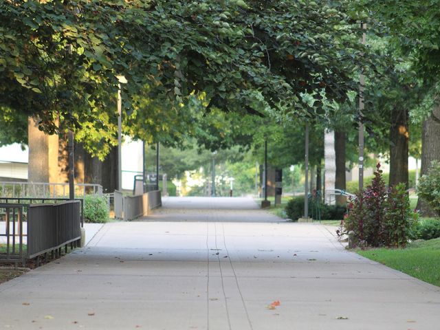 Photo of University of Arkansas