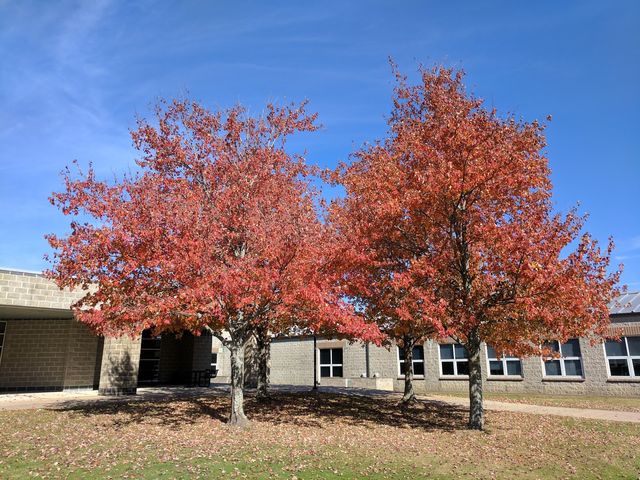 Photo of University of Arkansas Community College Rich Mountain