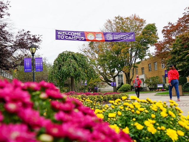 Photo of University of Bridgeport