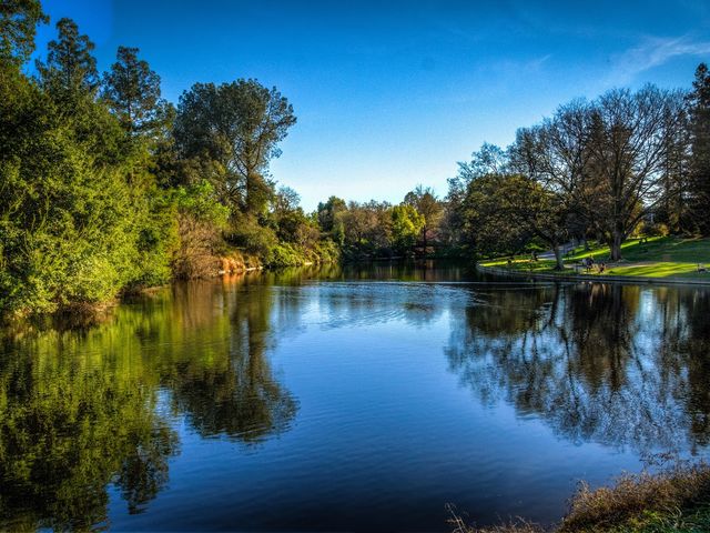 Photo of University of California-Davis