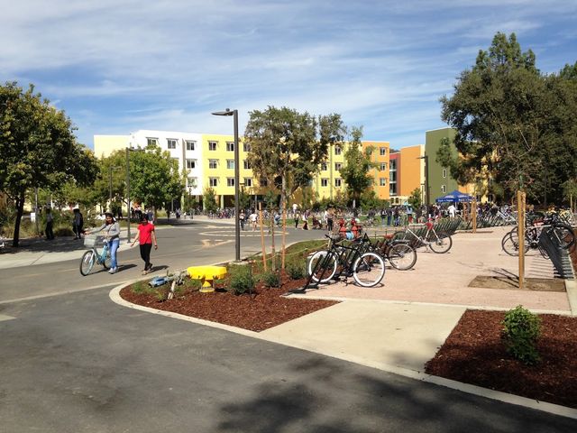 Photo of University of California-Davis