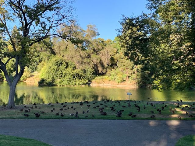 Photo of University of California-Davis