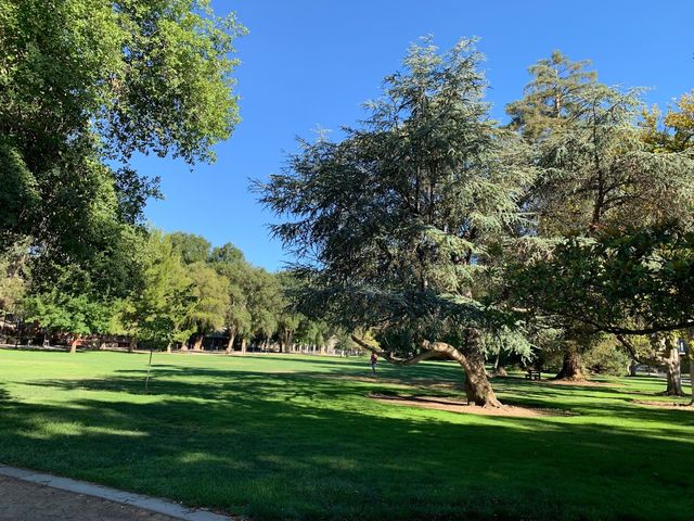 Photo of University of California-Davis