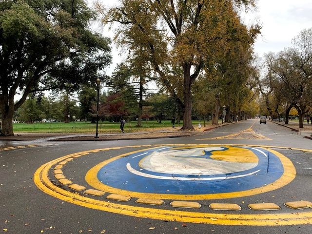 Photo of University of California-Davis