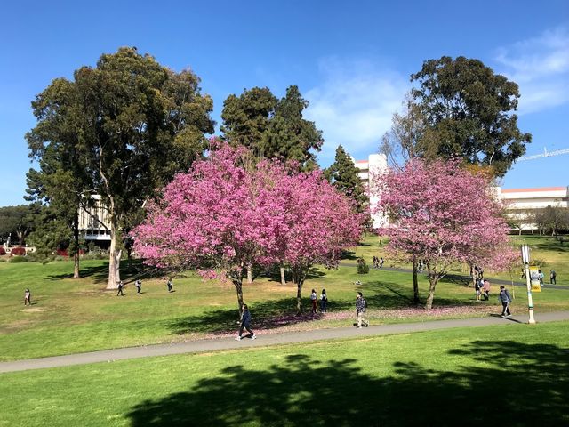 Photo of University of California-Irvine