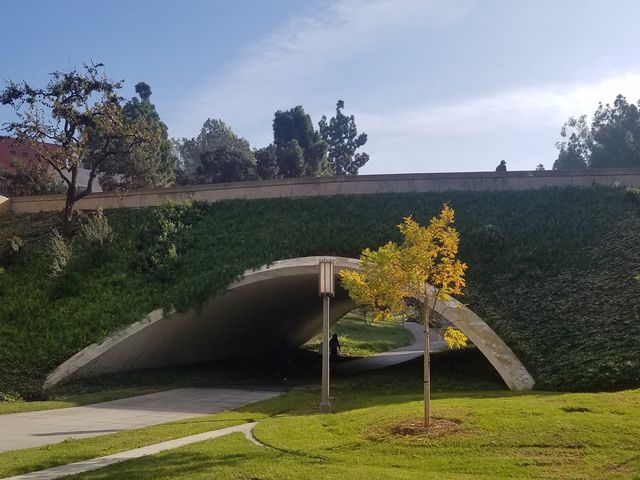 Photo of University of California-Irvine