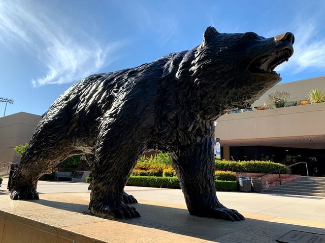 Photo of University of California-Los Angeles