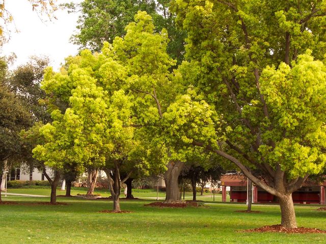 Photo of University of California-Riverside