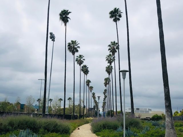 Photo of University of California-Riverside