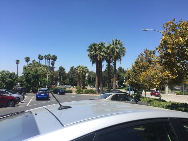 Photo of University of California-Riverside