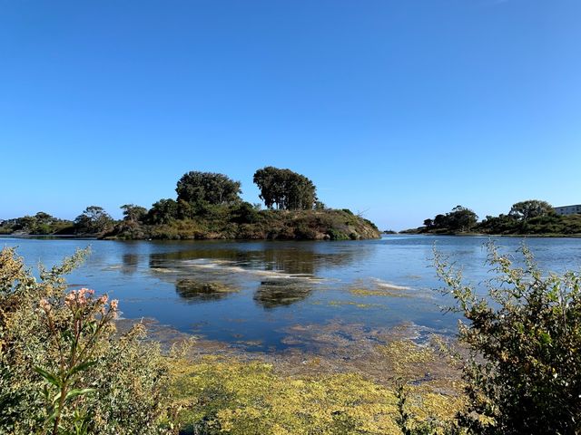 Photo of University of California-Santa Barbara